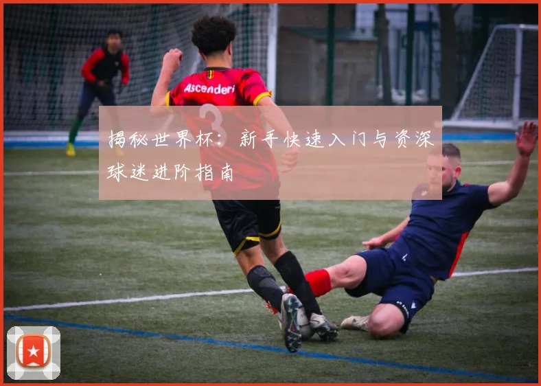 揭秘世界杯：新手快速入门与资深球迷进阶指南