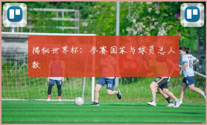 揭秘世界杯：参赛国家与球员总人数