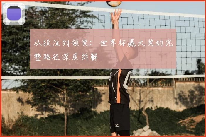 从投注到领奖：世界杯赢大奖的完整路径深度拆解
