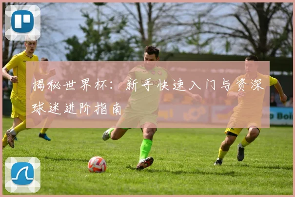 揭秘世界杯:新手快速入门与资深球迷进阶指南