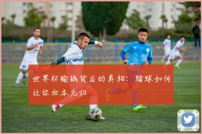 世界杯输钱背后的真相：赌球如何让你血本无归