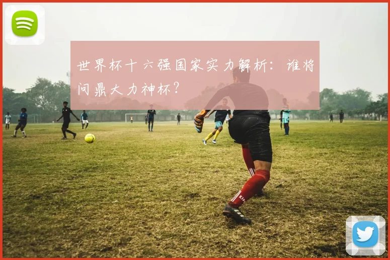 世界杯十六强国家实力解析:谁将问鼎大力神杯?