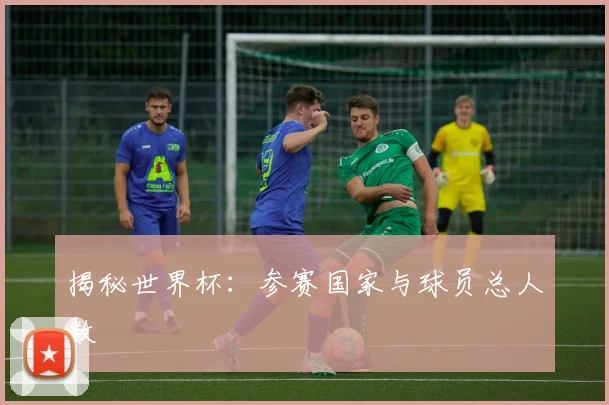 揭秘世界杯:参赛国家与球员总人数