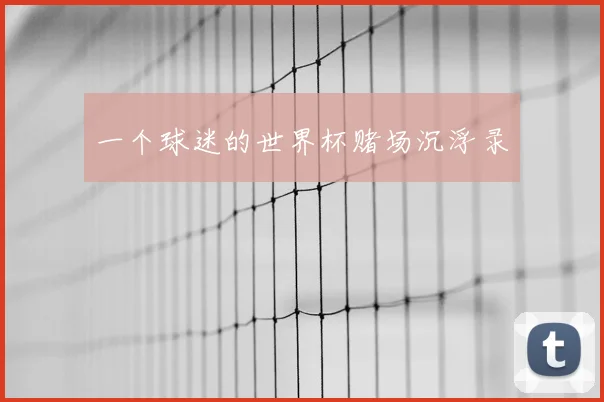一个球迷的世界杯赌场沉浮录