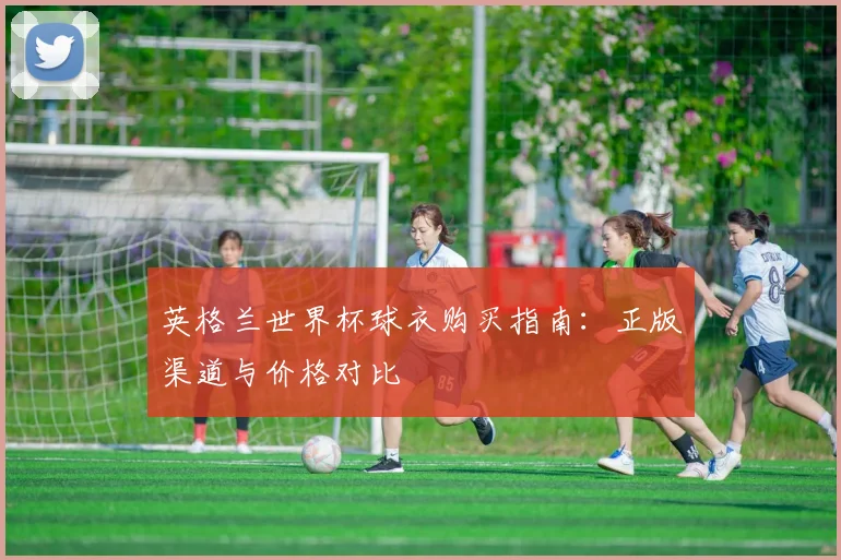 英格兰世界杯球衣购买指南：正版渠道与价格对比
