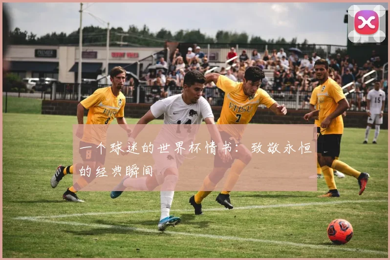 一个球迷的世界杯情书：致敬永恒的经典瞬间