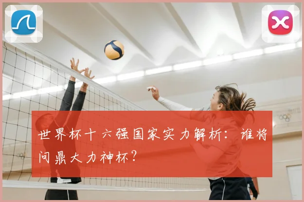 世界杯十六强国家实力解析：谁将问鼎大力神杯？