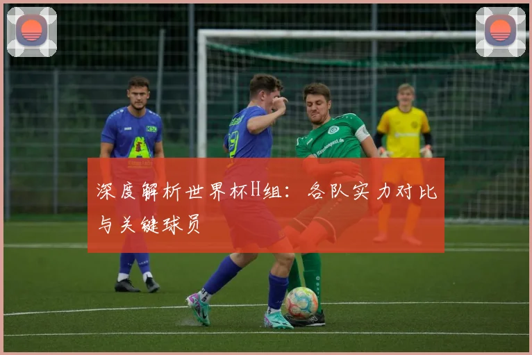深度解析世界杯H组：各队实力对比与关键球员