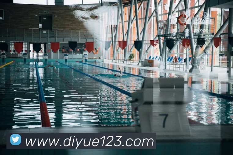 开云app官方在线入口APP 封面图